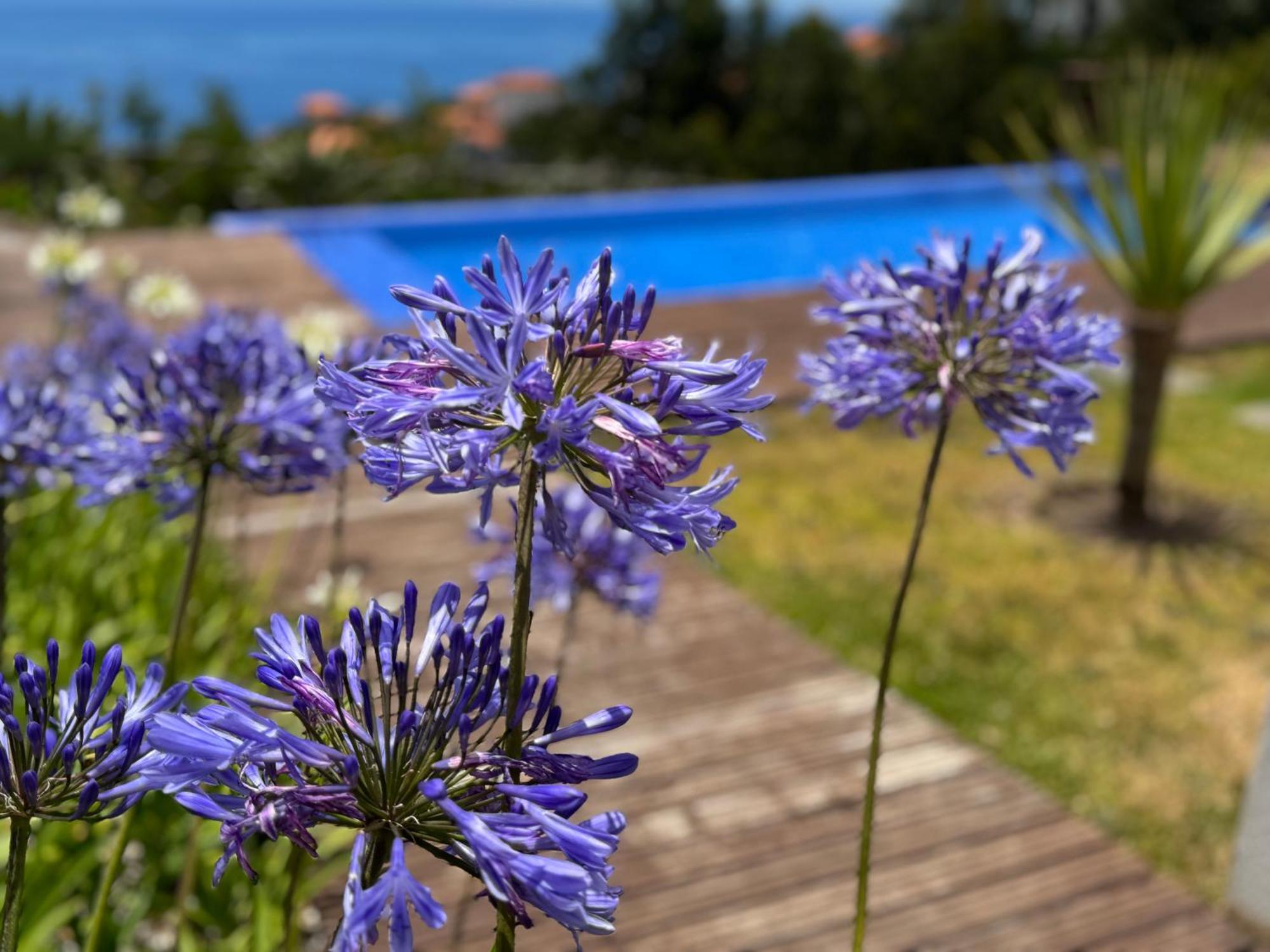 Villa Modular Calheta  Exterior foto